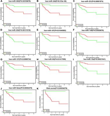 A 16-miRNA Prognostic Model to Predict Overall Survival in Neuroblastoma